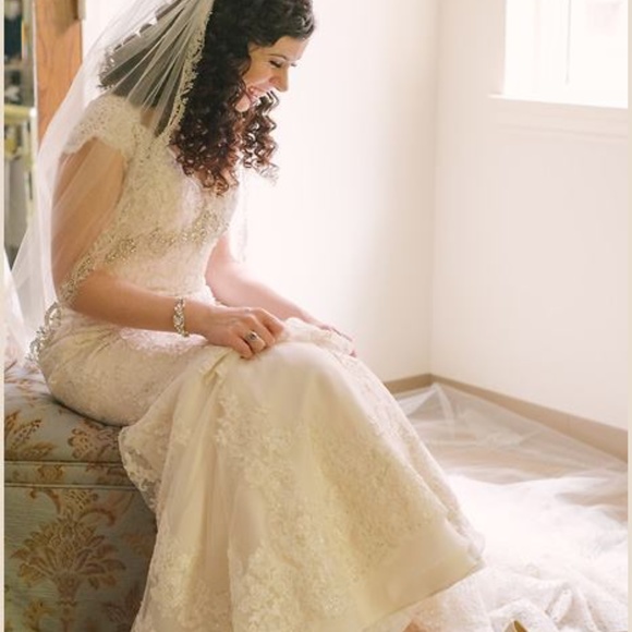 veil main image 8